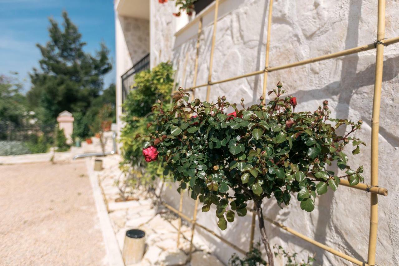 Hedon-Stone Daire Starigrad Paklenica Dış mekan fotoğraf